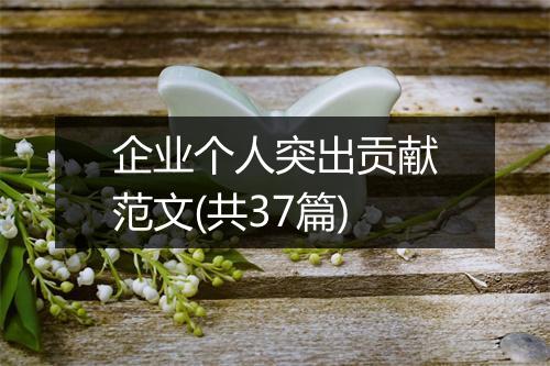 企业个人突出贡献范文(共37篇)