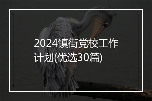 2024镇街党校工作计划(优选30篇)