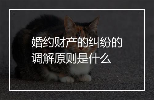 婚约财产的纠纷的调解原则是什么