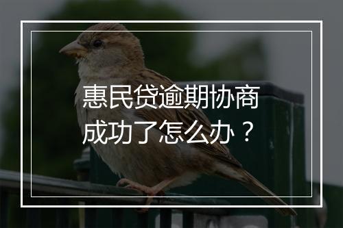 惠民贷逾期协商成功了怎么办？