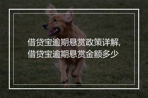 借贷宝逾期悬赏政策详解,借贷宝逾期悬赏金额多少