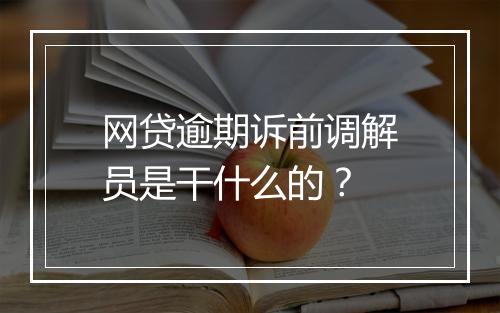 网贷逾期诉前调解员是干什么的？