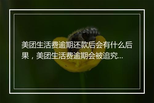 美团生活费逾期还款后会有什么后果，美团生活费逾期会被追究责任吗