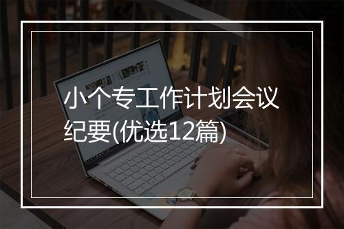 小个专工作计划会议纪要(优选12篇)