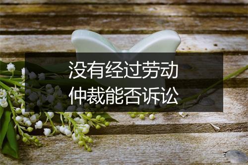 没有经过劳动仲裁能否诉讼