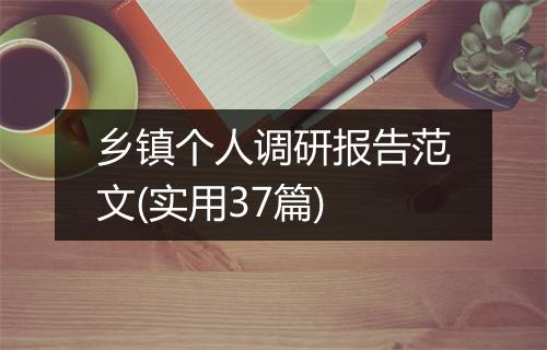 乡镇个人调研报告范文(实用37篇)