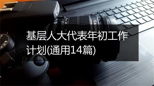 基层人大代表年初工作计划(通用14篇)