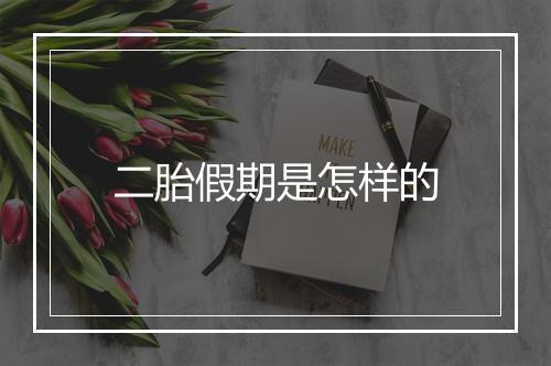 二胎假期是怎样的