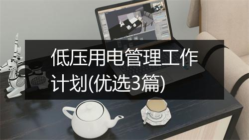 低压用电管理工作计划(优选3篇)