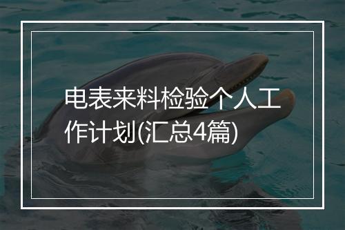 电表来料检验个人工作计划(汇总4篇)
