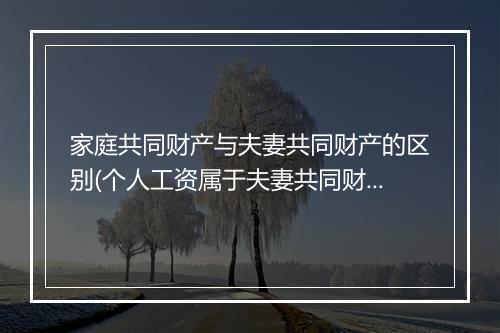 家庭共同财产与夫妻共同财产的区别(个人工资属于夫妻共同财产么)