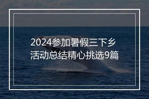 2024参加暑假三下乡活动总结精心挑选9篇