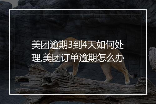 美团逾期3到4天如何处理,美团订单逾期怎么办