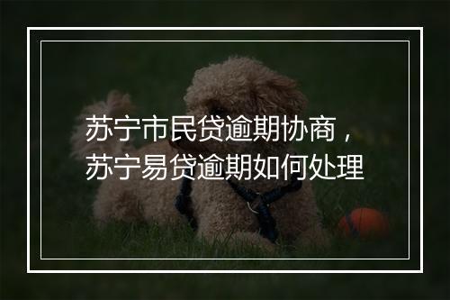 苏宁市民贷逾期协商 ,苏宁易贷逾期如何处理
