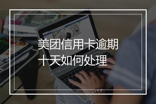 美团信用卡逾期十天如何处理