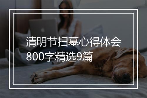 清明节扫墓心得体会800字精选9篇