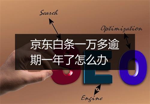 京东白条一万多逾期一年了怎么办