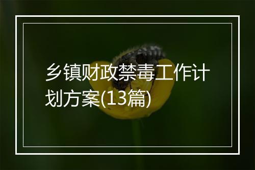 乡镇财政禁毒工作计划方案(13篇)