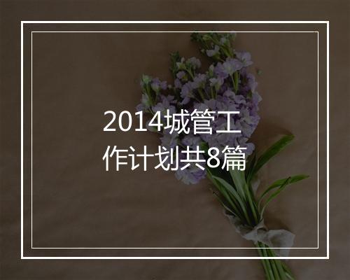 2014城管工作计划共8篇