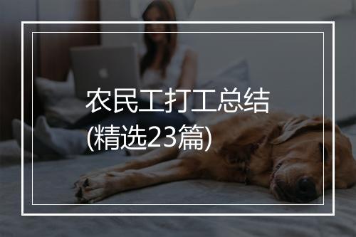 农民工打工总结(精选23篇)
