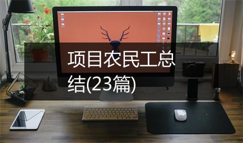 项目农民工总结(23篇)