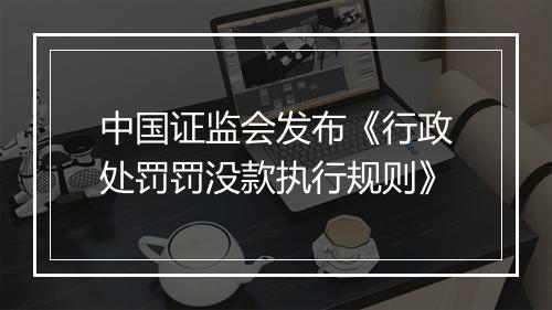 中国证监会发布《行政处罚罚没款执行规则》