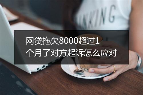 网贷拖欠8000超过1个月了对方起诉怎么应对