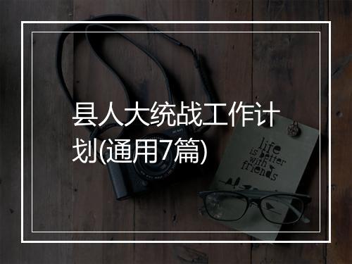 县人大统战工作计划(通用7篇)