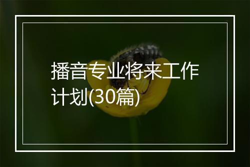 播音专业将来工作计划(30篇)