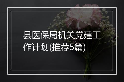 县医保局机关党建工作计划(推荐5篇)