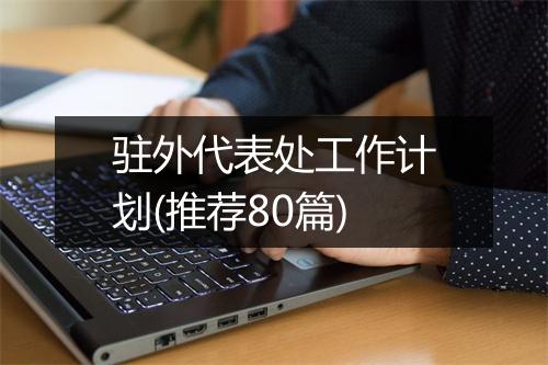 驻外代表处工作计划(推荐80篇)