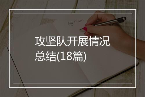 攻坚队开展情况总结(18篇)