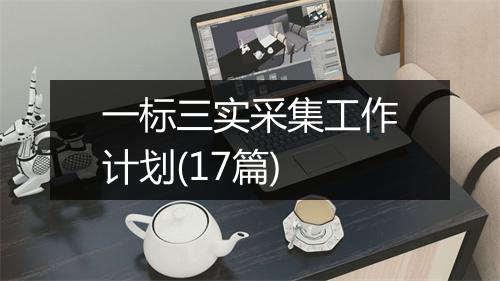 一标三实采集工作计划(17篇)