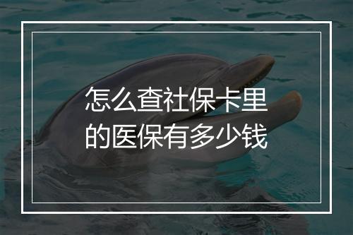 怎么查社保卡里的医保有多少钱