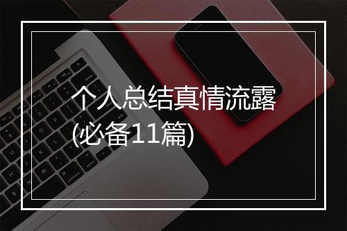 个人总结真情流露(必备11篇)
