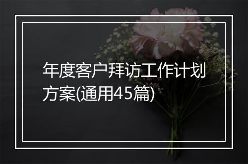 年度客户拜访工作计划方案(通用45篇)