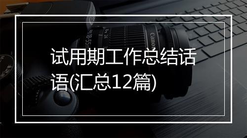 试用期工作总结话语(汇总12篇)