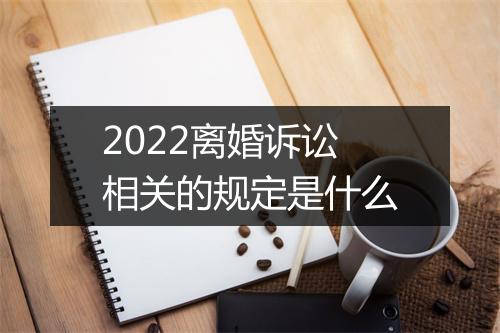 2022离婚诉讼相关的规定是什么