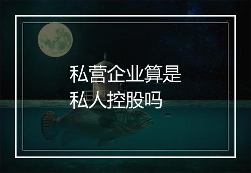 私营企业算是私人控股吗