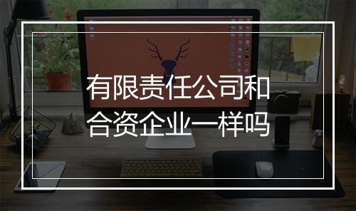 有限责任公司和合资企业一样吗