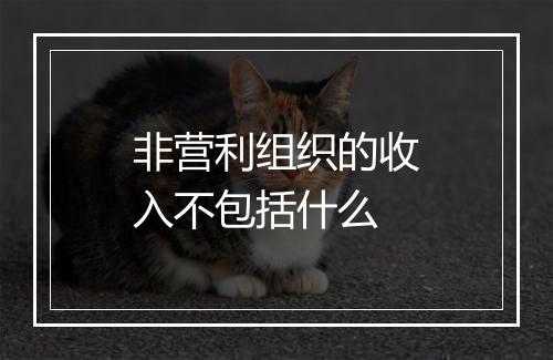 非营利组织的收入不包括什么