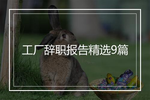 工厂辞职报告精选9篇