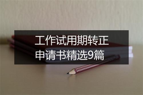 工作试用期转正申请书精选9篇