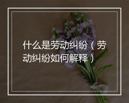 什么是劳动纠纷（劳动纠纷如何解释）