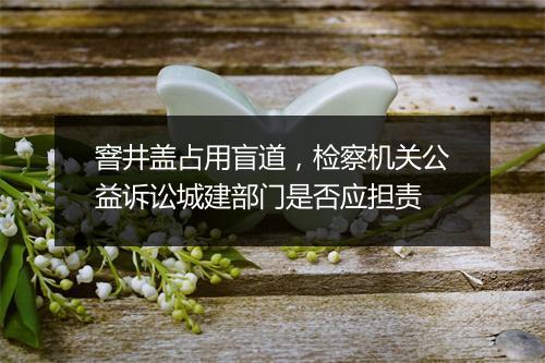 窨井盖占用盲道，检察机关公益诉讼城建部门是否应担责