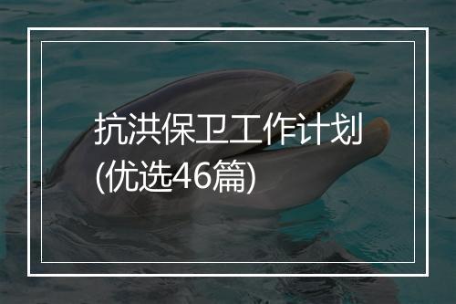 抗洪保卫工作计划(优选46篇)