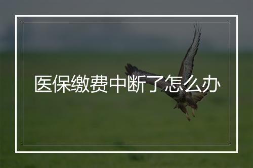 医保缴费中断了怎么办