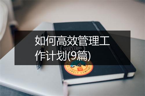 如何高效管理工作计划(9篇)
