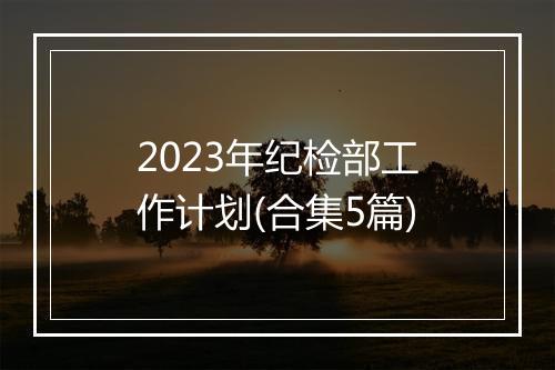 2023年纪检部工作计划(合集5篇)