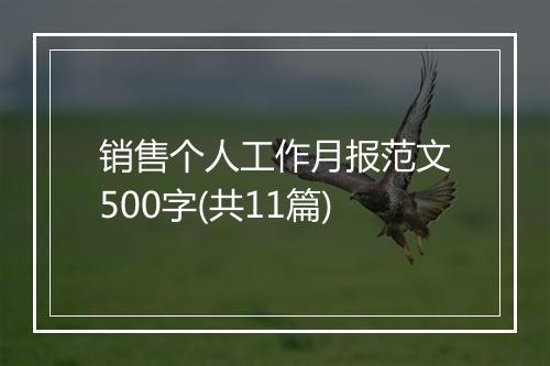 销售个人工作月报范文500字(共11篇)